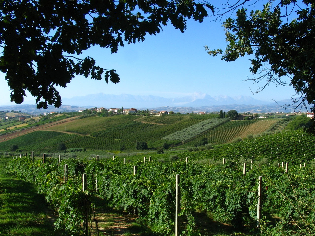 Italy