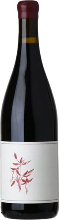 2023 Arnot-Roberts Syrah, Sonoma Coast