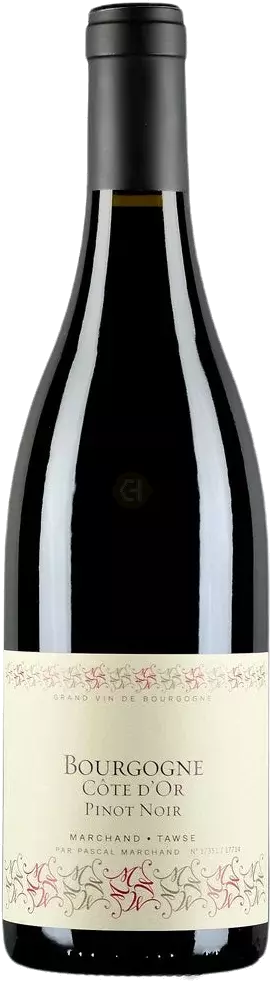 2022 Bourgogne Marchand Tawse Cote d'Or