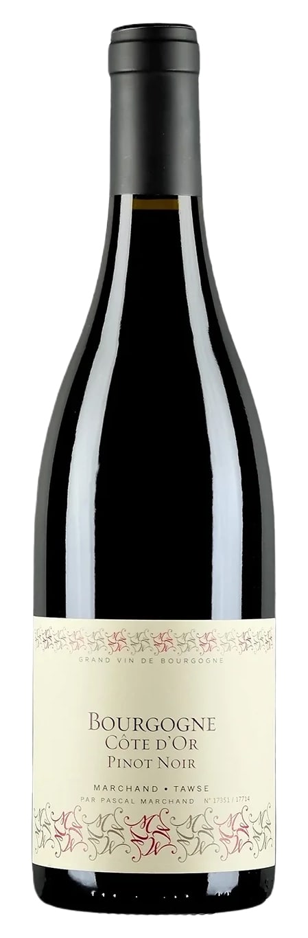 2020 Bourgogne Marchand Tawse Cote d'Or