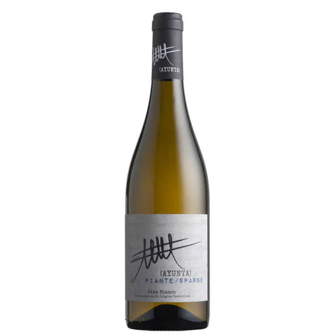 2022 Ayunta Etna Blanco Piante\Sparse